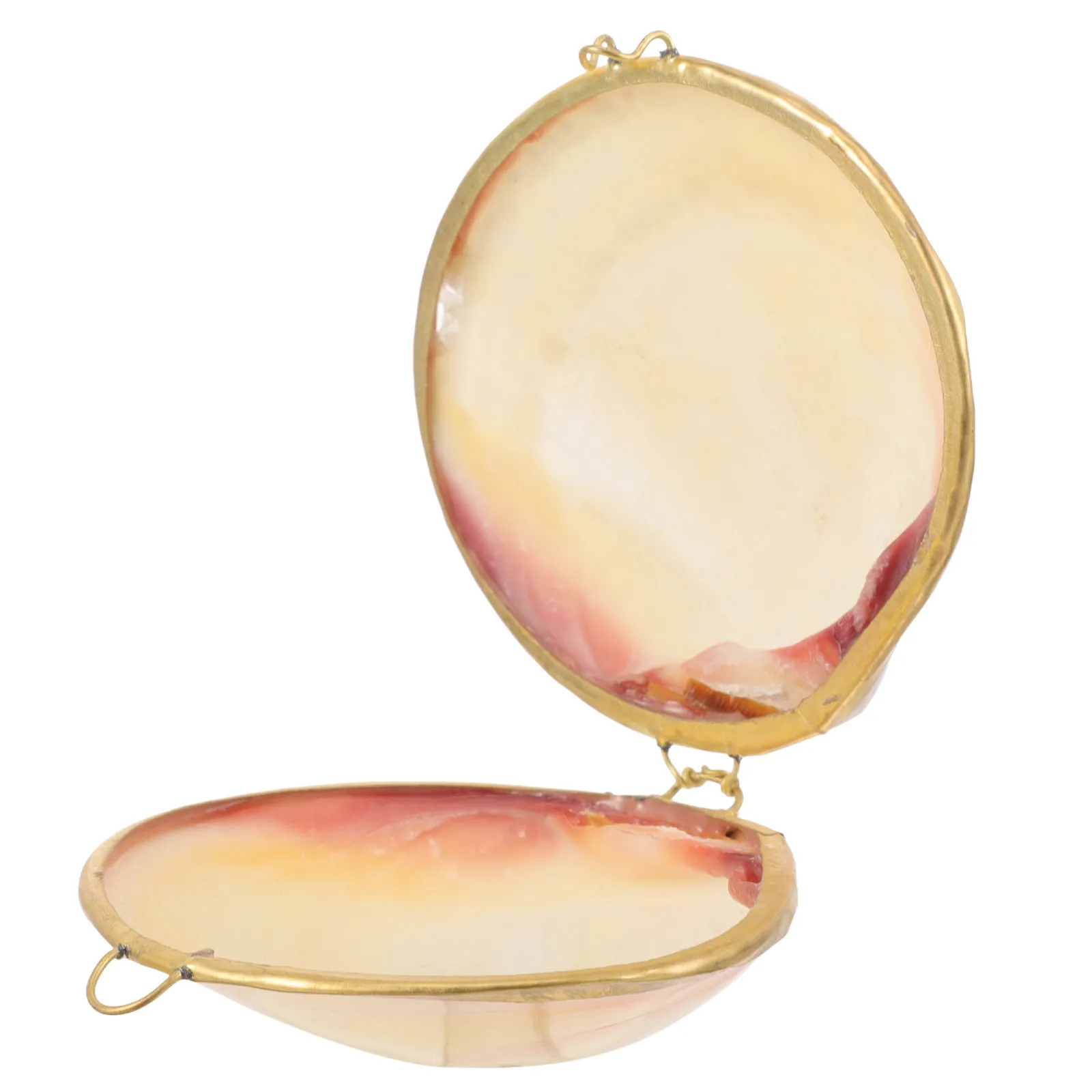 Chic Small Jewelry Box Seashell Shape Ring Holder Earring Case Necklace Container Gift Packaging Desktop Decor for Anniversary