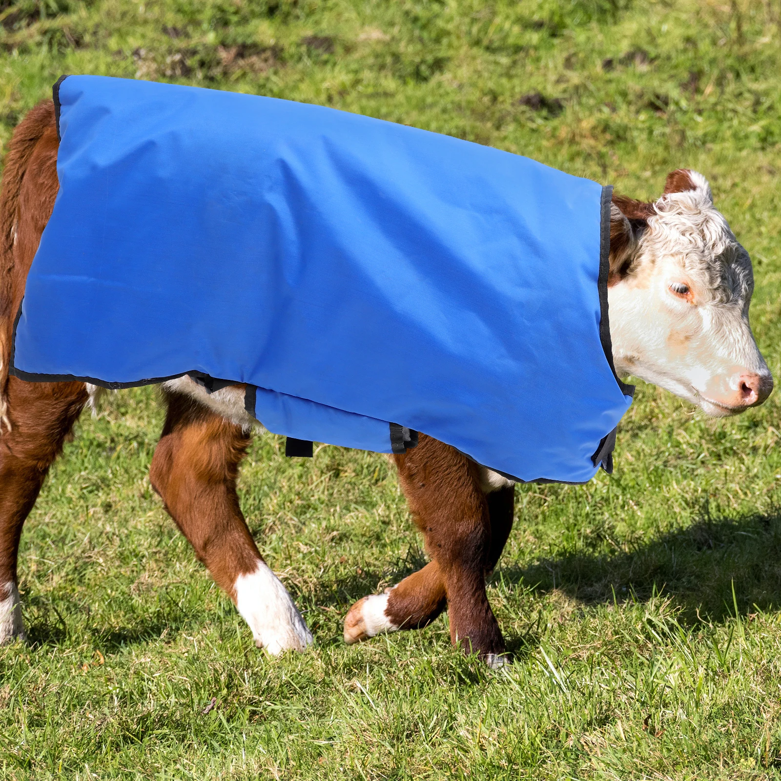 

Thickened Warm Coat Winter Clothing Flannel Vest for Calves Windproof Calf Belly Protection Farm Animal Blanket Pasture Supplies