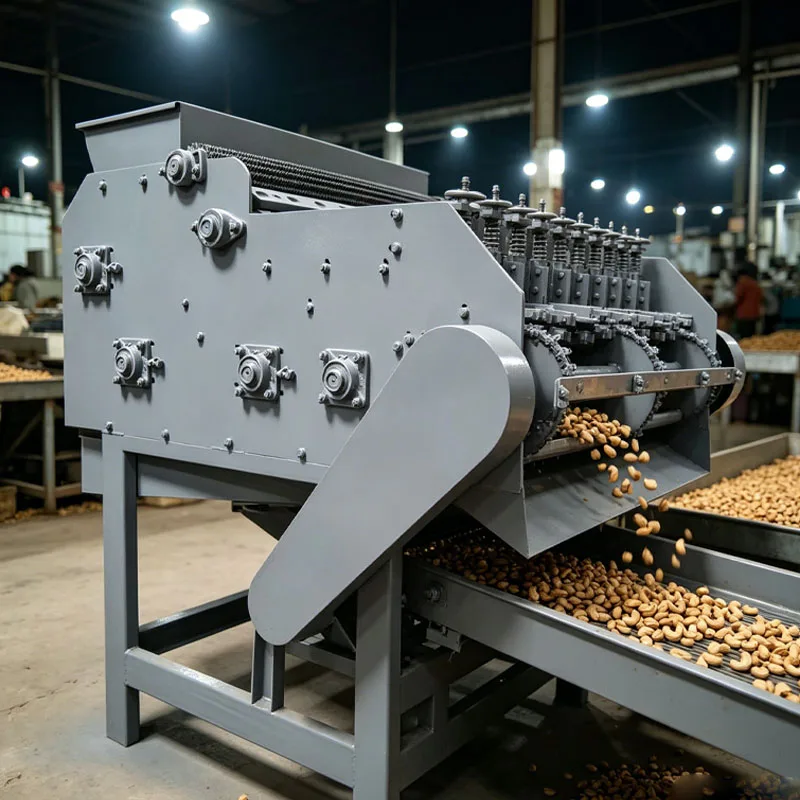 Small Scale Cashew Shelling Machine for Raw Cashew Nut Cracking and Kernel Processing Customized