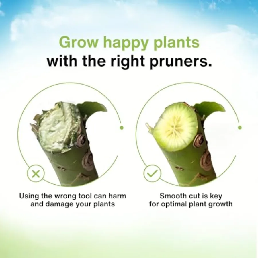 Potatori manuali professionali piccoli e medi per giardinaggio e raccolta dal design ergonomico antiscivolo con acciaio ad alto tenore di carbonio resistente