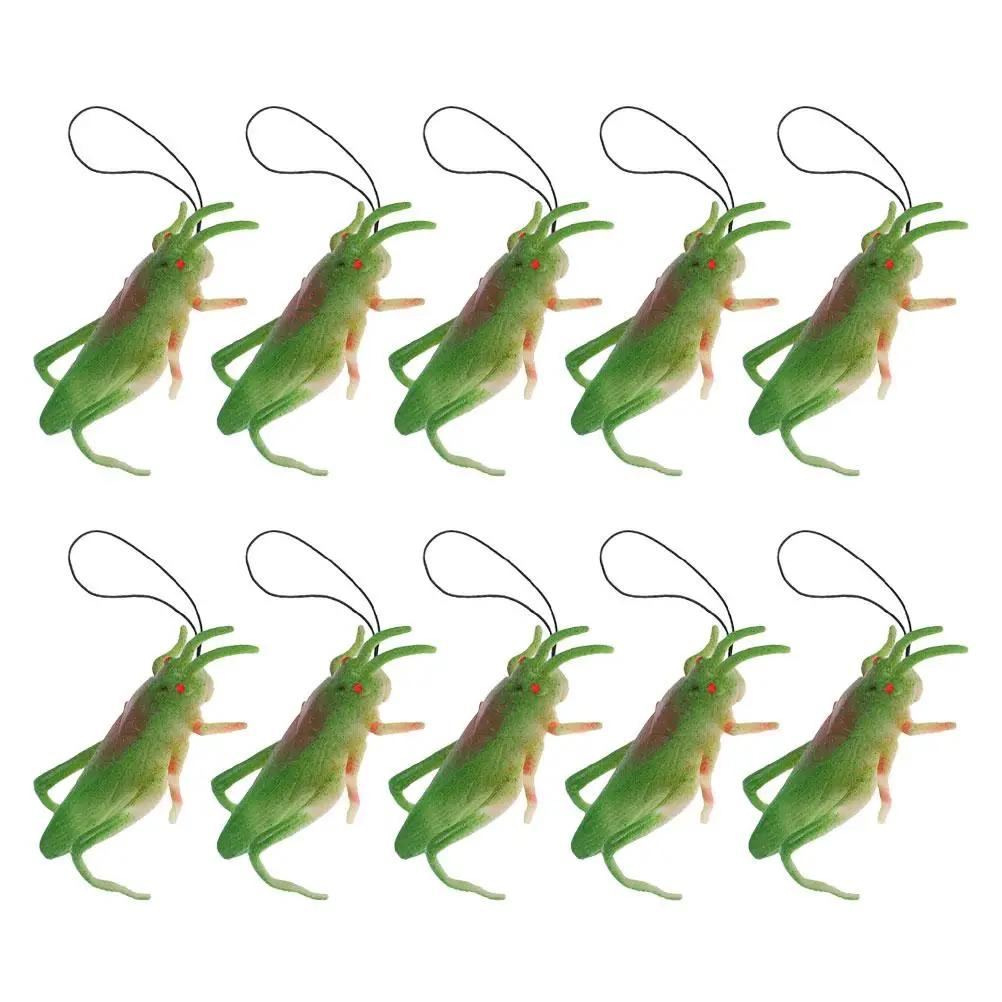 

10 Pcs Realistic Grasshoppers Model Toy Realistic Simulation Animal Figurine Educational Fun Safe Material