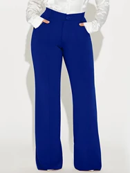 Women's Elegant  Commuter  Classic  Business  Work Single Comfort Autumn/Winter High Waisted Elegant straight leg pants