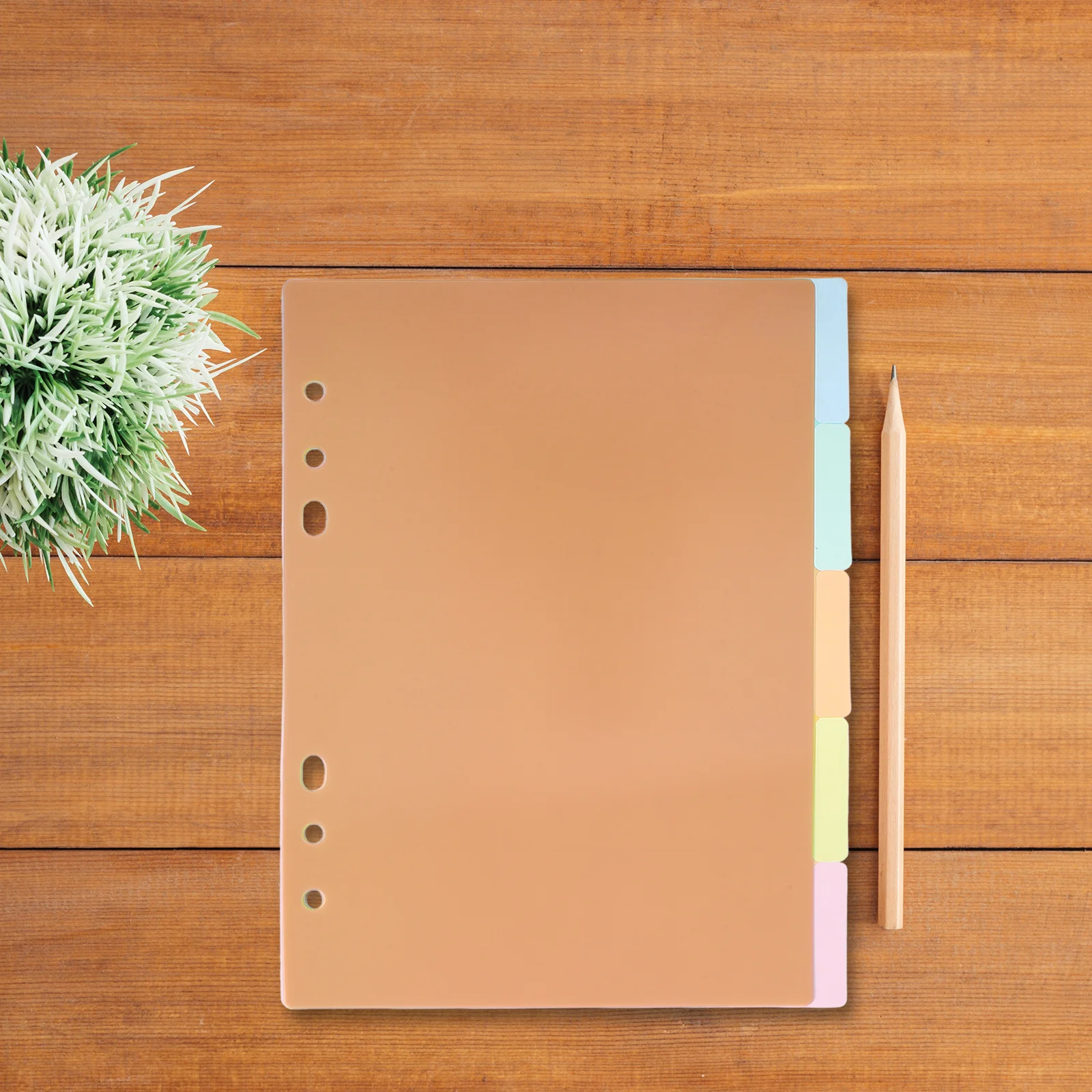 

2Pcs Colorful Classification Plastic Dividers Easy Insert for A5 Ring Binder Extra Wide Tabs Index Page Divider