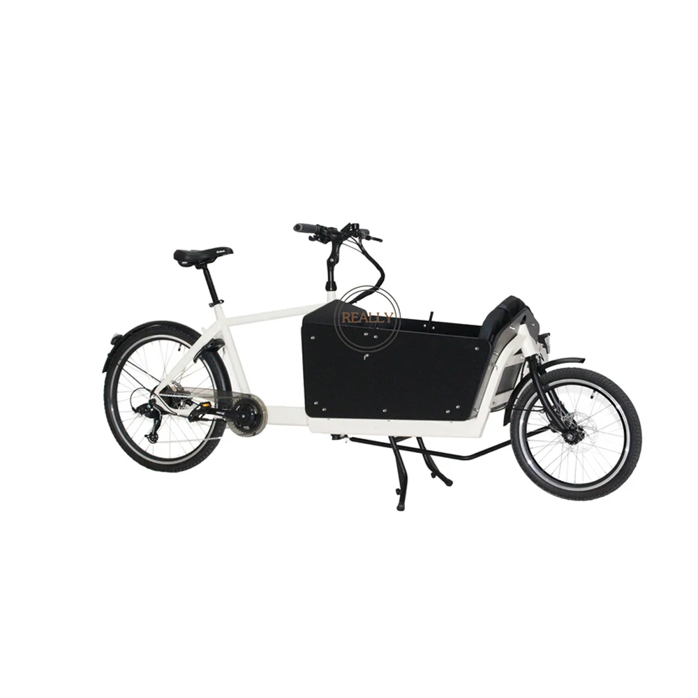 

3 Wheels Pedal Electric Dutch Adult Tricycle Cargo Bike Family Bicycle Kids Scooter Street Vending Cart for Sale Customized