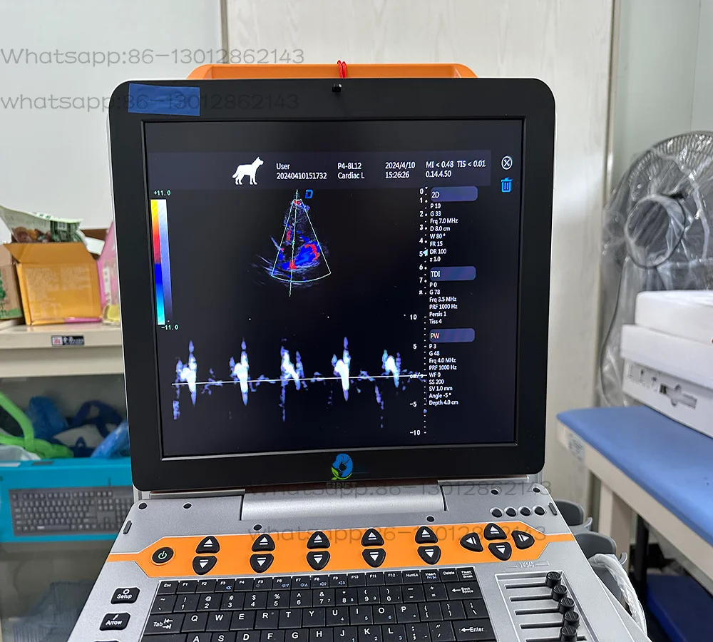 1pcs NEW  EUR VET Portable P60 Digital Scanning System for Animal Color 3D Veterinary Equipment