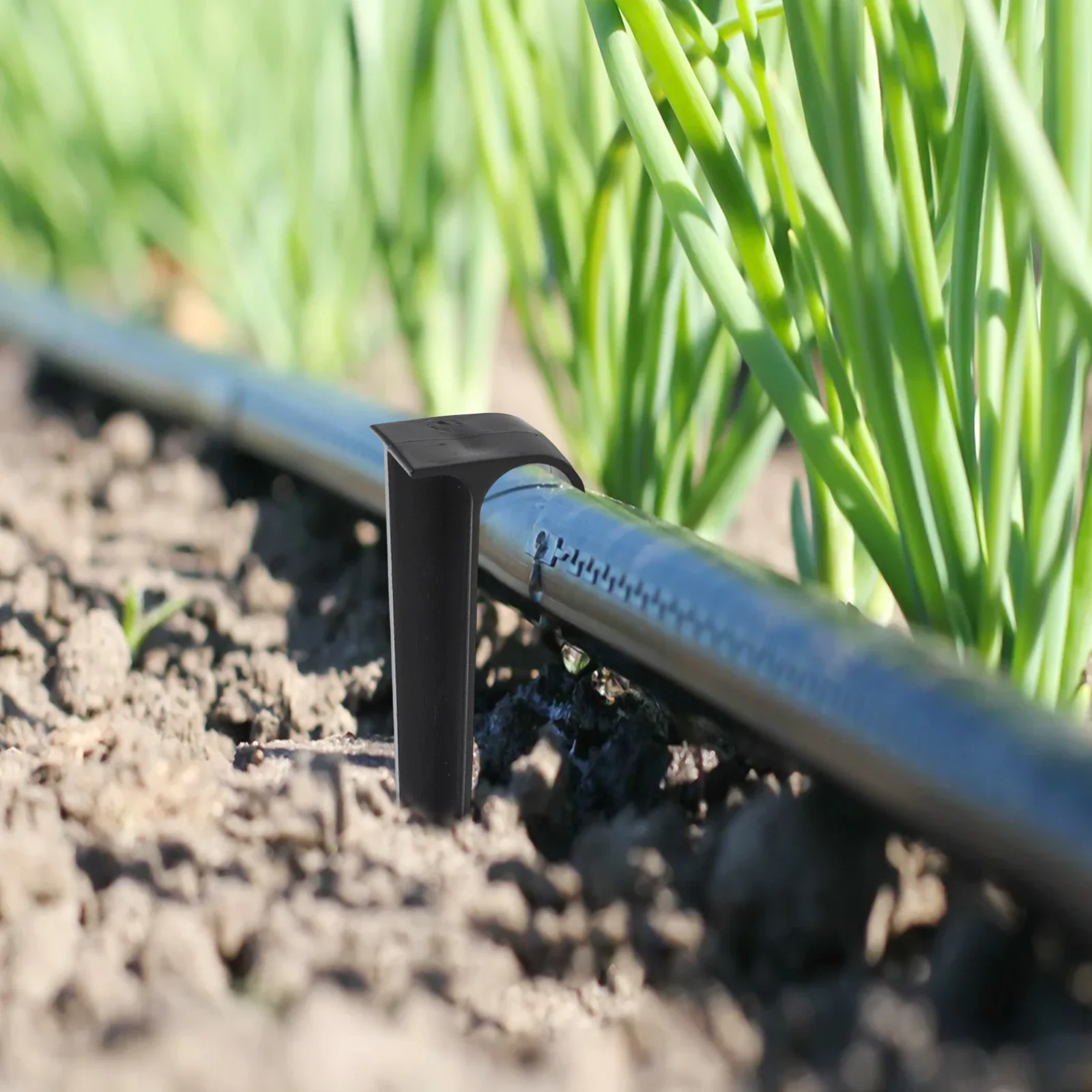 

Черные высококачественные колья-держатели для труб, 50 шт., DN16, для ландшафтного дизайна, для полива, для сада