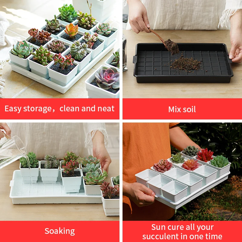 Meshpot Sukkulenten Topf Kunststoff Blumentopf Kaktus Lithops Pflanzer Container Sämlinge Kindergarten Garten Liefert Hause Dekoration – Detail 6