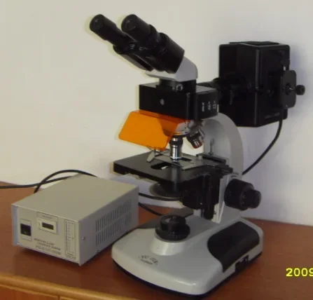 2025 Hot Sale Epi M…