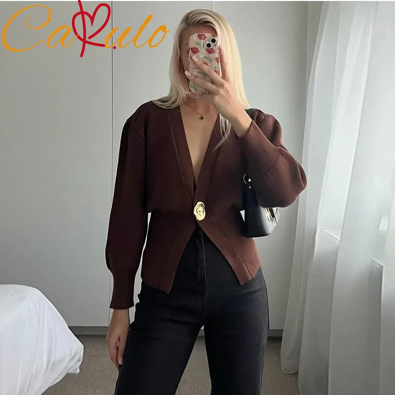 Elegant Brown Metal Button Knitted Cardigan Women Fashion V Neck Long Sleeve Loose Outwear 2025 Autumn Female High Streetwear