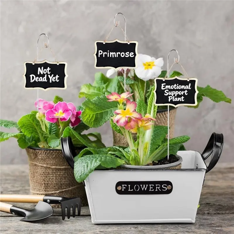 Hot Selling-Reusable Plant Tags 25 Packs Label With Marker Pen, Garden Markers, Wooden Plant Makers For Outdoor,Reusable Plant T