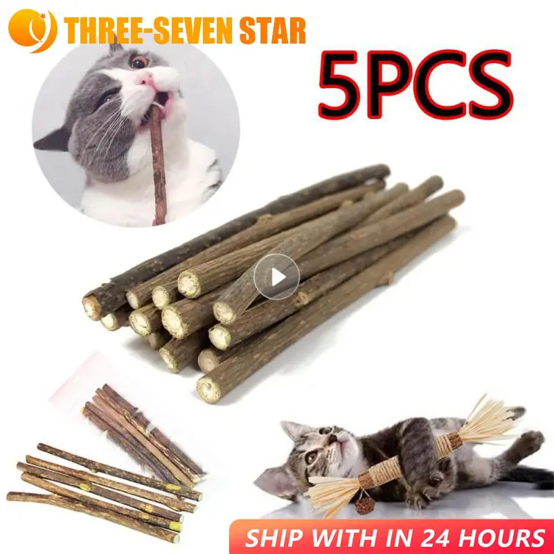 5 Sticks/box Catnip Pet Cat Molar Self-healing Chew Product All Natural Relieve Boredom Toothpaste Cleaning Teeth Snack Supplies