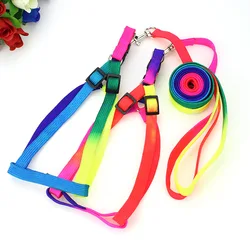 Adjustable Colorful Rainbow Pet Harness Small And Medium Dog Cat Harnesses Nylon Chain 1.2M Dog Leash Set  Dog Accessories