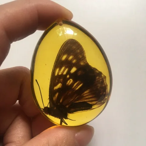 Cantharias drop shape scorpion butterfly bee insect amber pendant