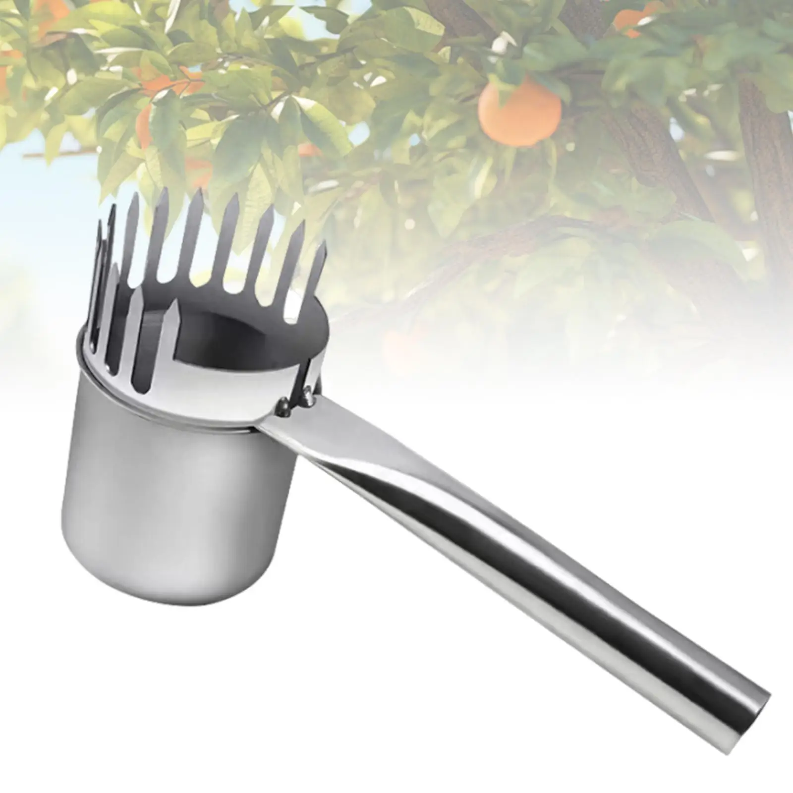 

Fruit Picker Portable Stainless Steel Labor Saving Berry Picker Jujube Picker Picking Device Fruit Collector for Park Farm Nuts