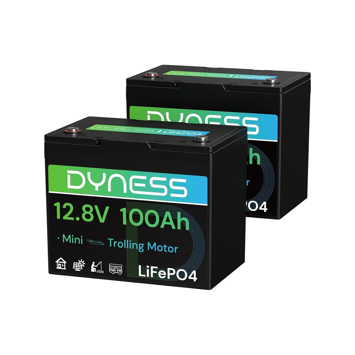 12V 100Ah LiFePO4 Battery 2 Pack, Deep Cycle Lithium with 100A BMS, Low-Temp Protection for RV, Boat, Motor, Solar, Customized