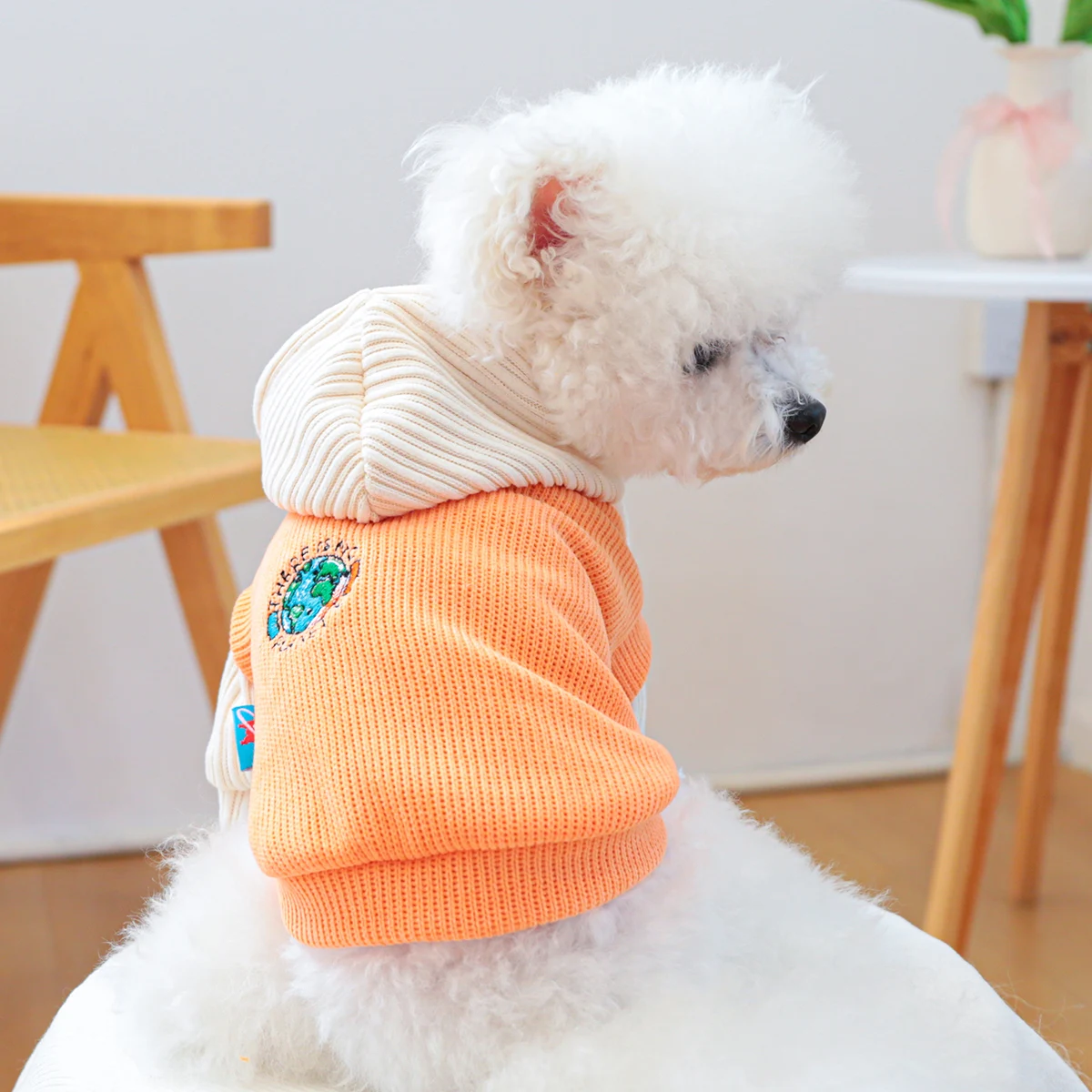 1PC Pet Clothing Cat Spring and Autumn Orange Planet Hoodie Hat Coat Suitable for Small and Medium sized Dogs