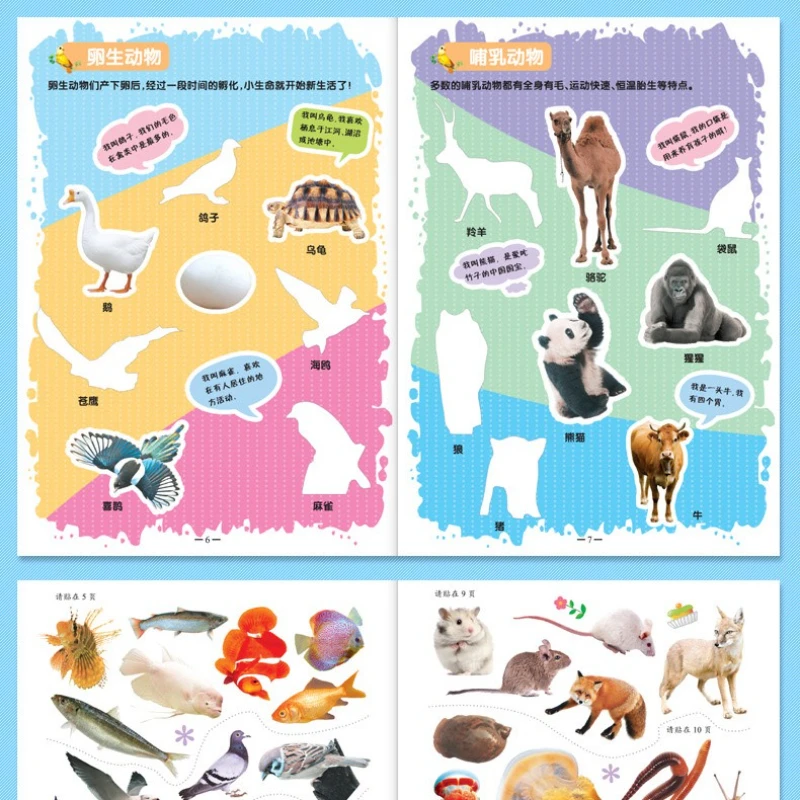 كتاب ملصقات معرفية للتنوير للأطفال بعمر 0-6 سنوات، ملصق ألغاز للتعليم المبكر التنوير #5