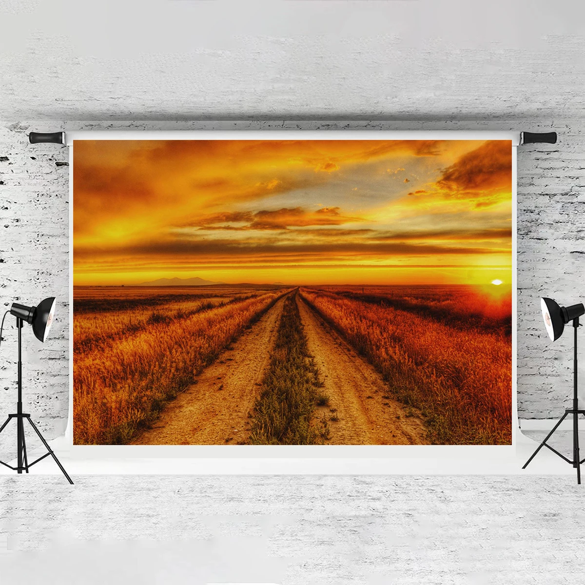 Sundown Field Alaska Animal Nature Forest Backdrop Background Cafeteria Wall Room Decor Park Party Decoration Exhibition Banner