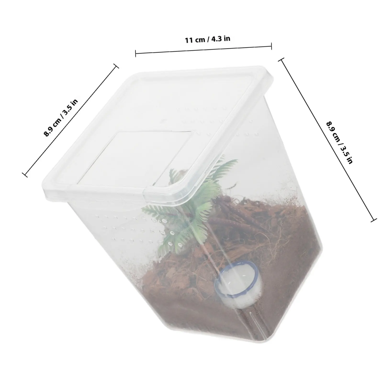 1Set Compact Escape-Proof Spider Box Transparent Plastic Small Terrarium for Jumping Spider Breeding Indoor Observation Habitat