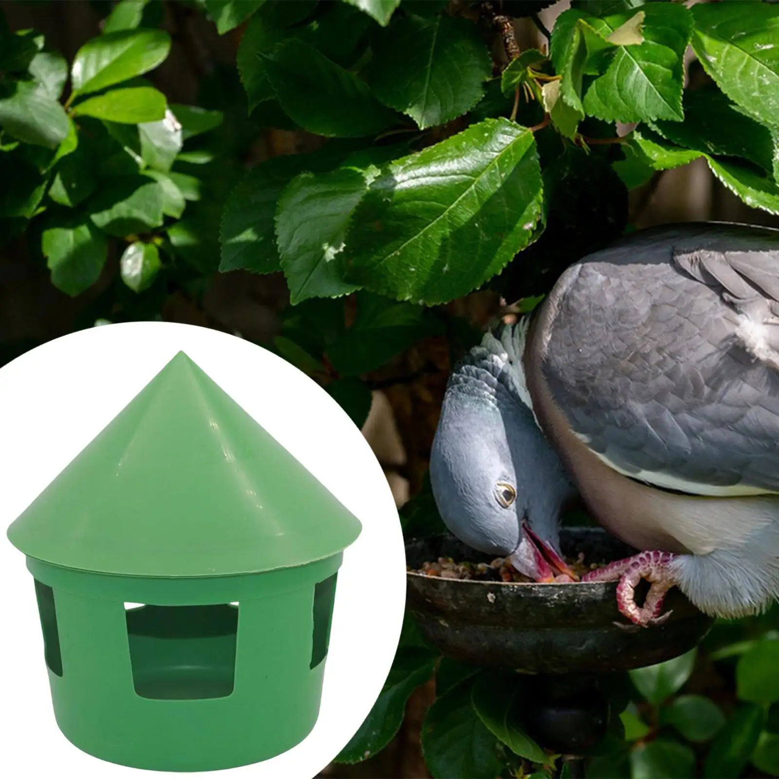 

Pigeon Feeder House with Cover Food Dispenser for Cockatiel Budgie Pigeon