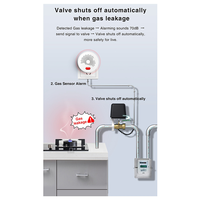 A99E-2X Zigbee Natural Gas Sensor Combustible Household Smart LPG Gas Leakage Alarm Detector Fire Security Protection EU-PLUG