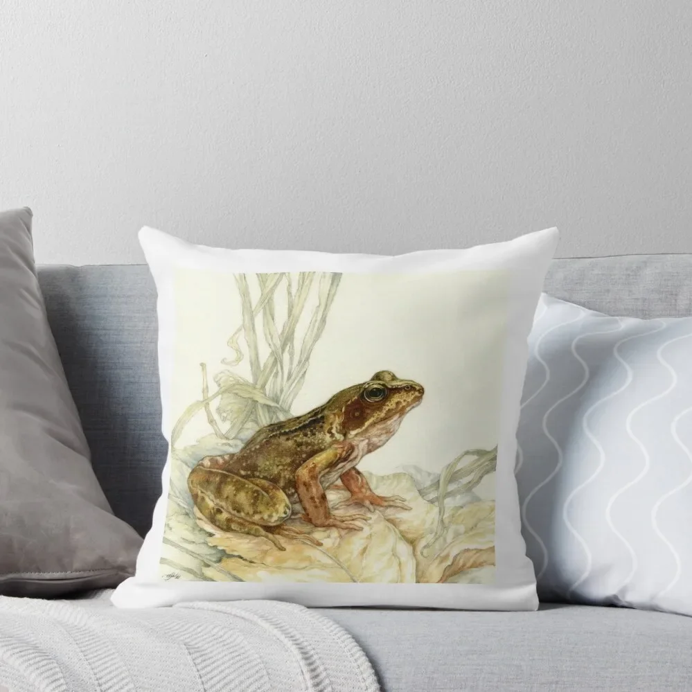 

European Common Frog Throw Pillow Christmas Pillows Cushions Home Decor pillow