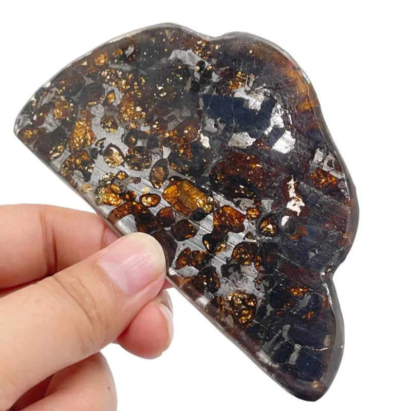 Sericho Pallasite Meteorite Cut Slice Genuine Olivine Meteorite Polished Specimen Extraterrestrial Rock Mineral Display TA736