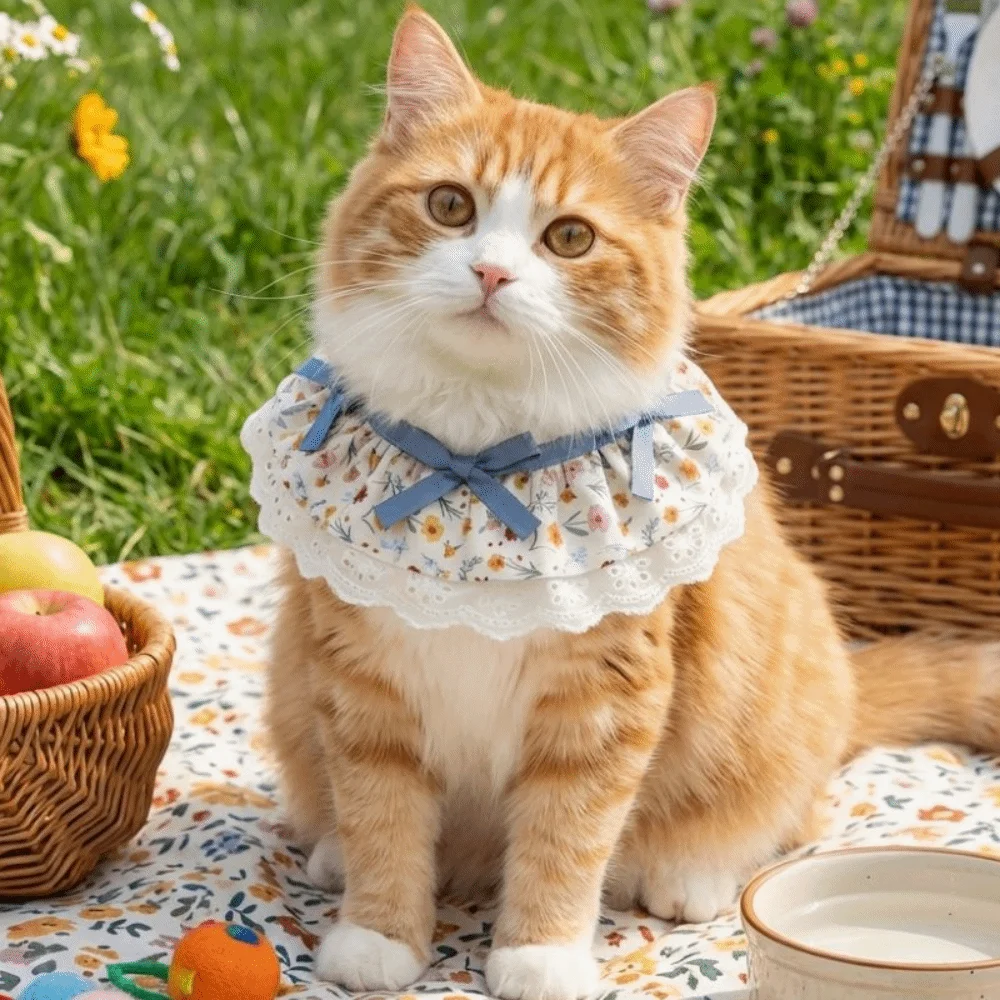 

Cute Lace Floral Bows Pet Cat Scarfs Adjustable Comfortable Cat Drool Towel Cartoon Handmade Pet Bib Photo Shoots