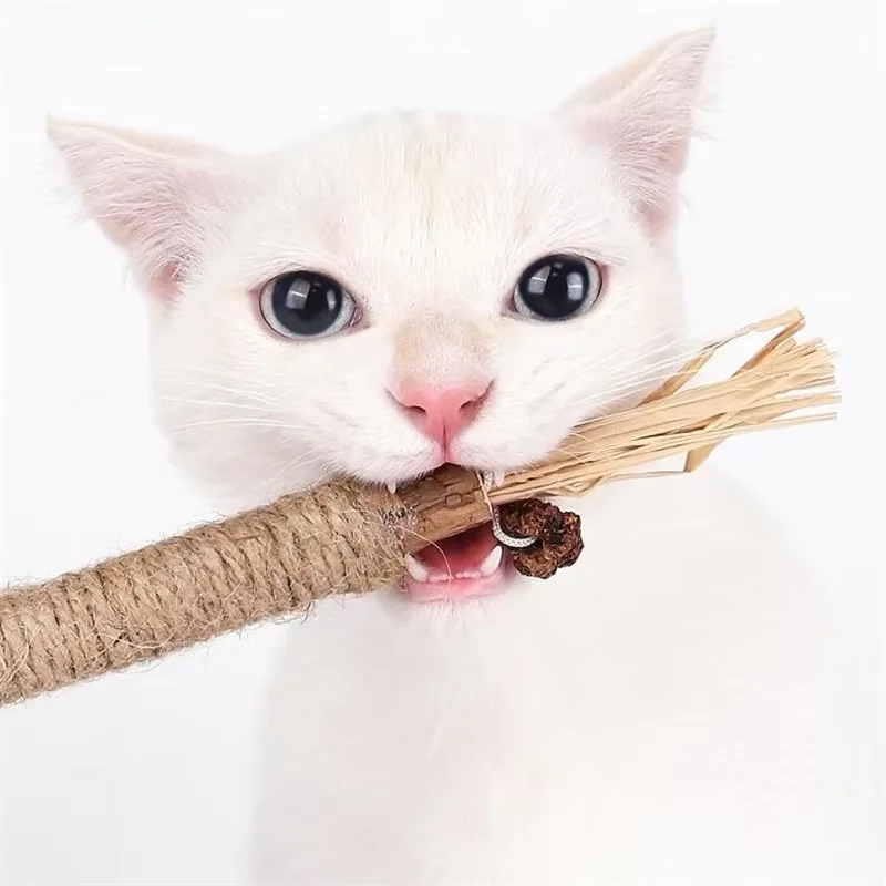 

1/3PC 22CM Wooden Polygonum Stick Bite Combination New Cat Toy Teeth Grinding, Tooth Cleansing, Tooth Stain Removal Fresh Breath