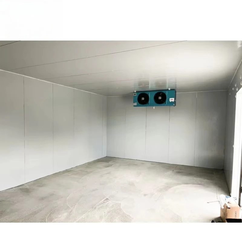 Customized Large Capacity Positive Negative Temperature Cold Room High Efficiency Food Cold Storage Equipment