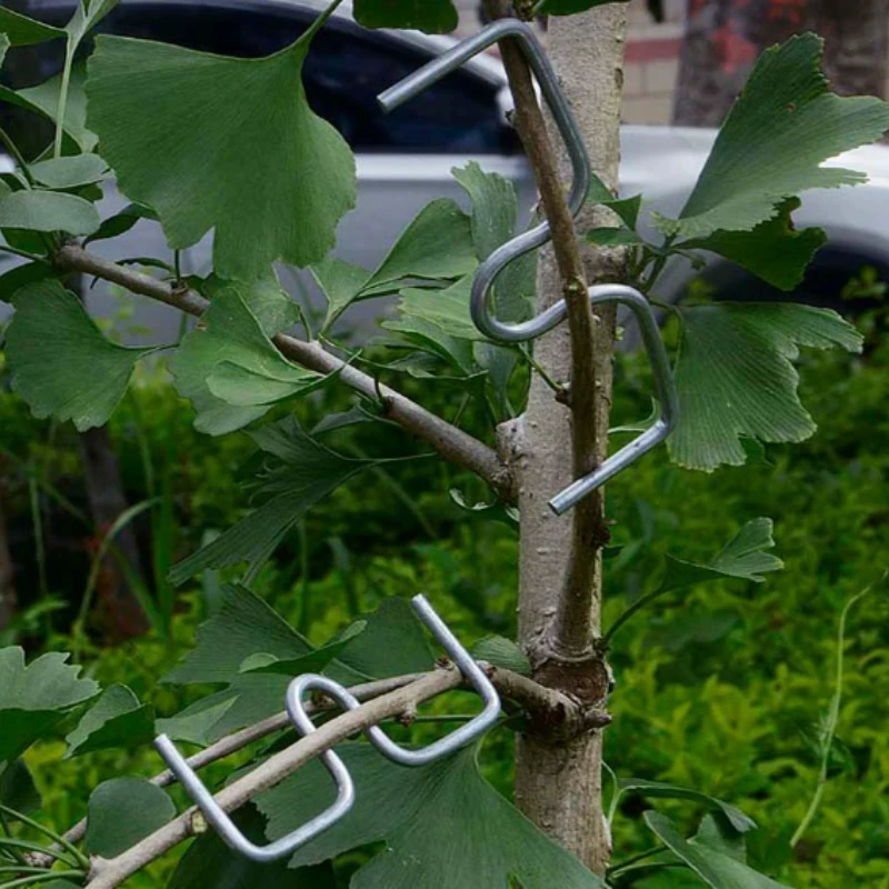 50pcsFruit Tree Branch Bender Tool Kit, Manual Branch Bending Tools for Shaping & Spreading, Orchard Plant Growing Tools