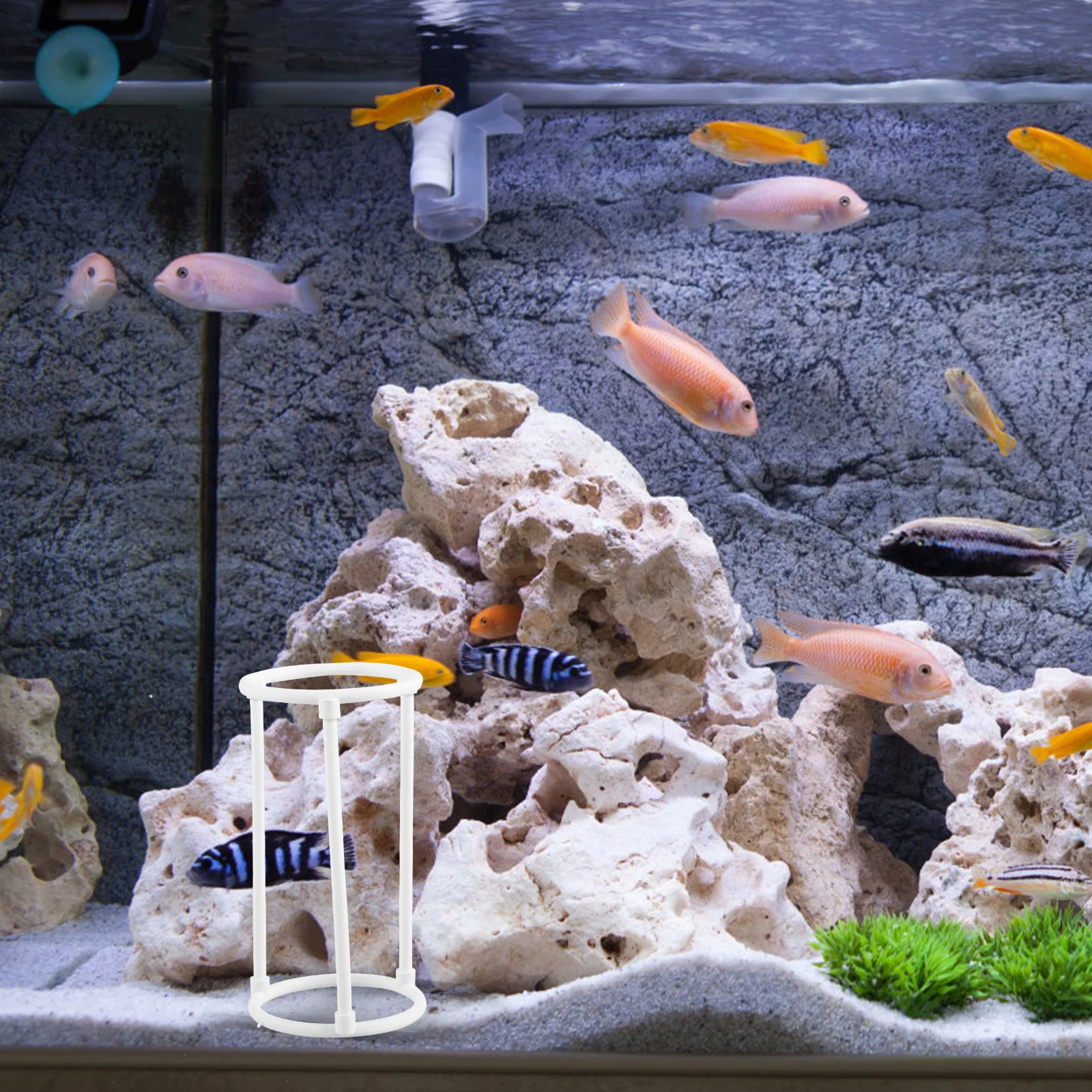 

8 pcs Replacement Splash Guards For Pond Fish Tank Rockery Portable Water Anti-Splashing Splash Guard Reusable Plastic