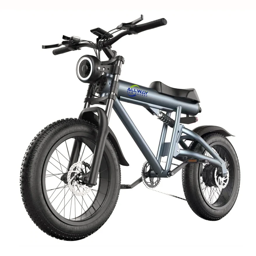 1000W 20 inch Fat Tire Electric Dirt Bike 48V 7 Speed Adult Off Road PAS Ebike
