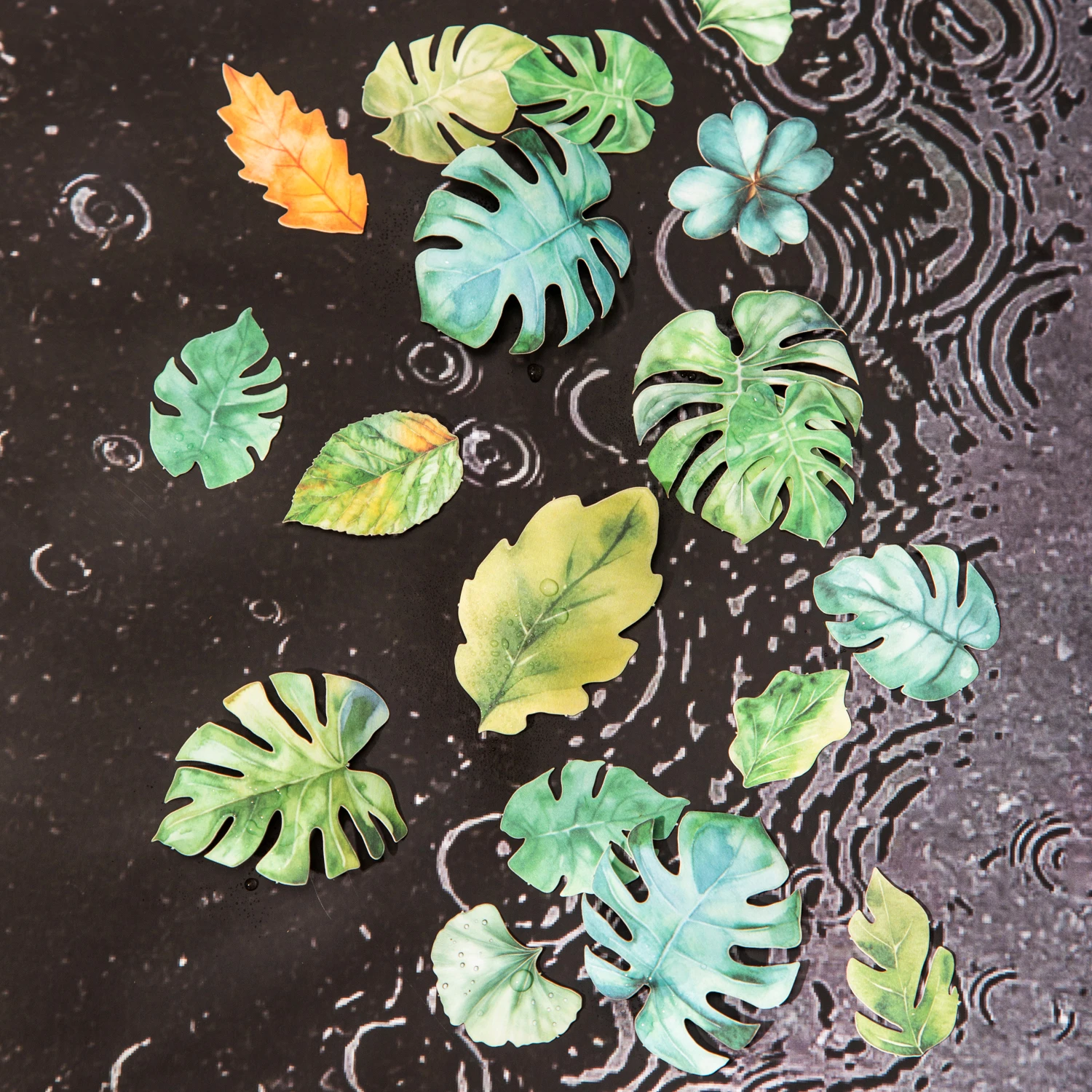 A Leaf Series Vinta…