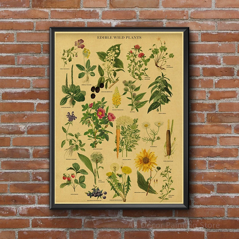 Botanical Retro Poster Vintage Herbs Prints DIY Medicinal Plants Flower Aesthetic Home Room Cafe Kitchen Art Wall Decor Painting