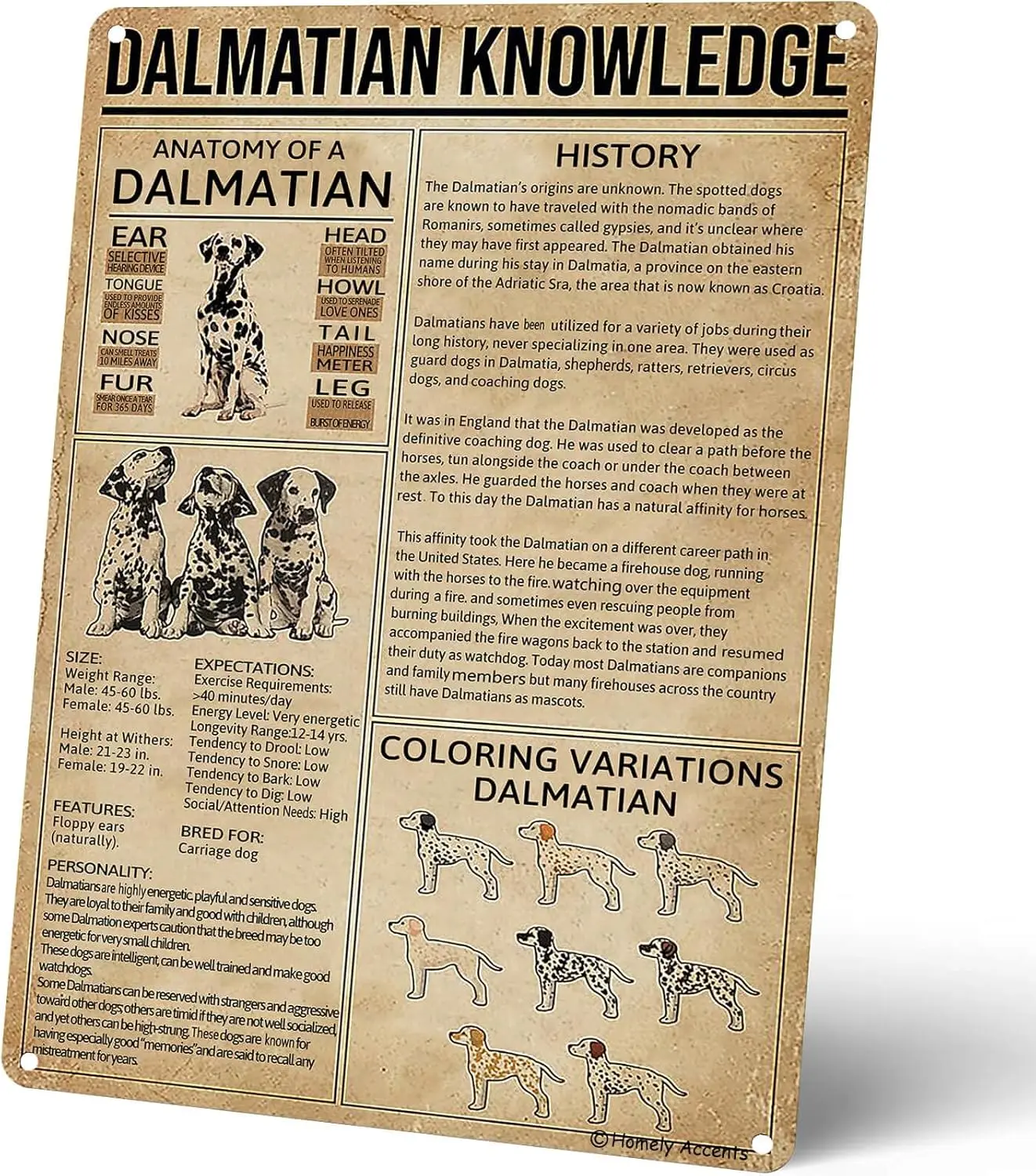 Dalmatian Knowledge Metal Tin Sign Vintage, Rustic Farmhouse Art Decor Poster, Home, Bathroom Nursery Wall Decor Gift for D sign