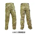 AMCU