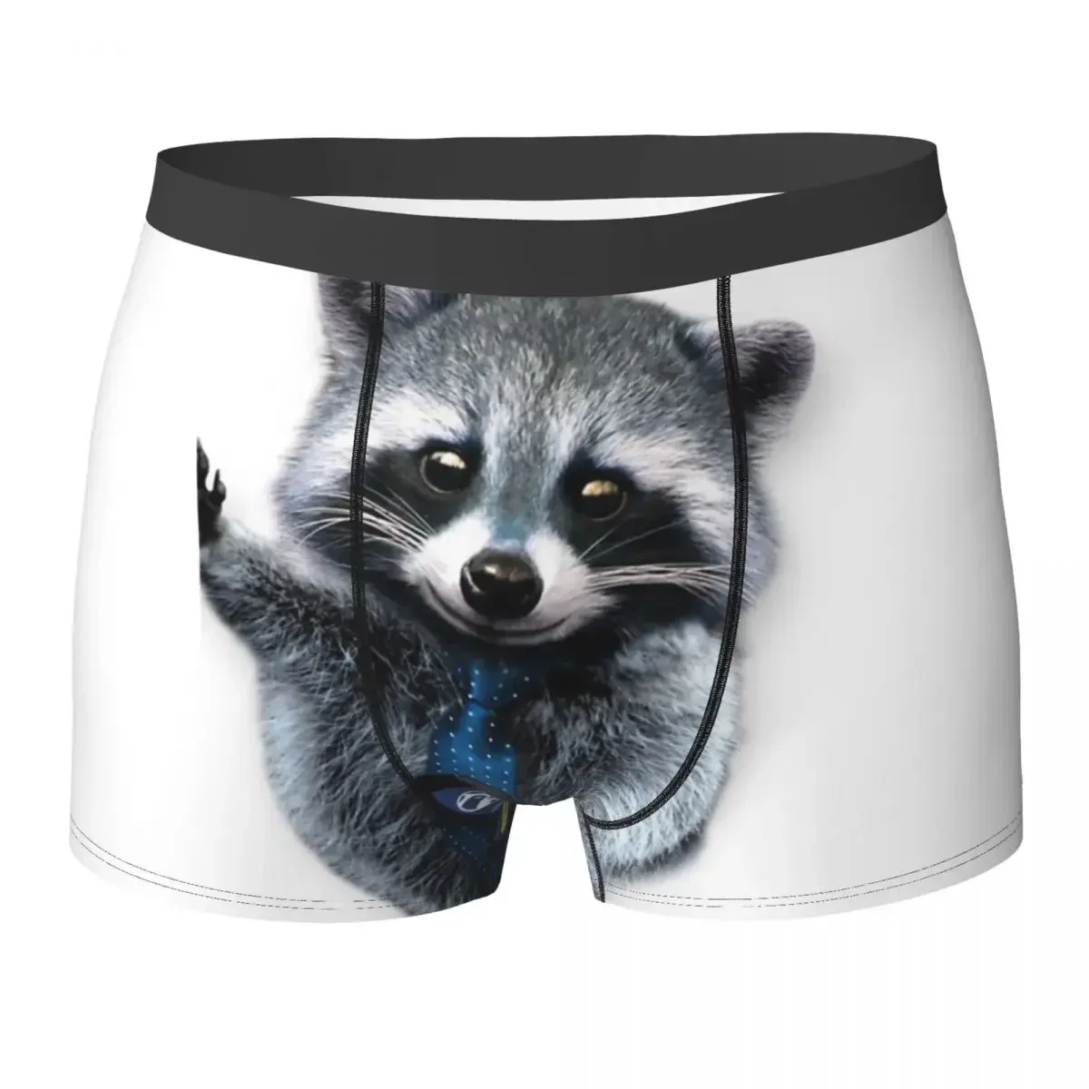 Boxer Underpants Shorts Little Raccoon Buddy Panda (3) Panties Male Comfortable Underwear for Homme Man Boyfriend Gift