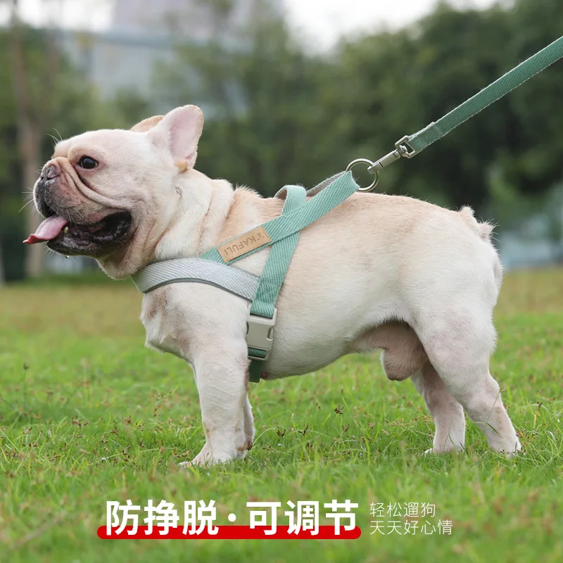 Dog leash, pet vest style chest strap, medium and large size dog fighting, golden fur, dog walking rope product manufacturer