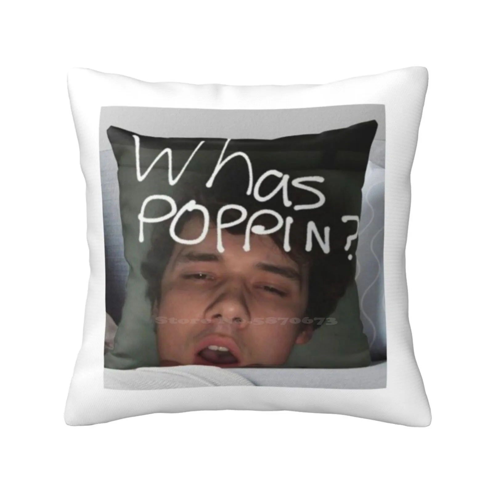 

Wilbur Whats Poppin Soft Comfortable Pillowcase Dream Smp Dsmp Wilbur Soot Beautiful Hot Poppin Whas Yeah