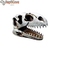 Reptile Terrarium Skull Decoration Set,Resin Rhino and Sheep Skull Ornaments for Lizards,Spiders,and Scorpions,Realistic Desert