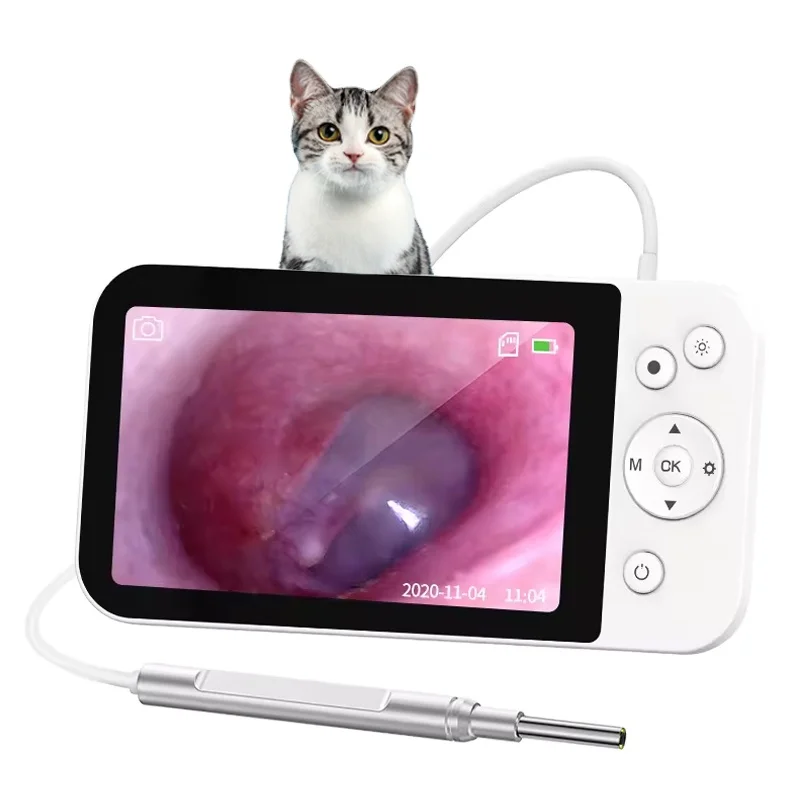 Vendita calda visibile elettrico luminoso e visibile Pet pulizia dell'orecchio endoscopio Usb veterinario Mobile Video otoscopio prezzo