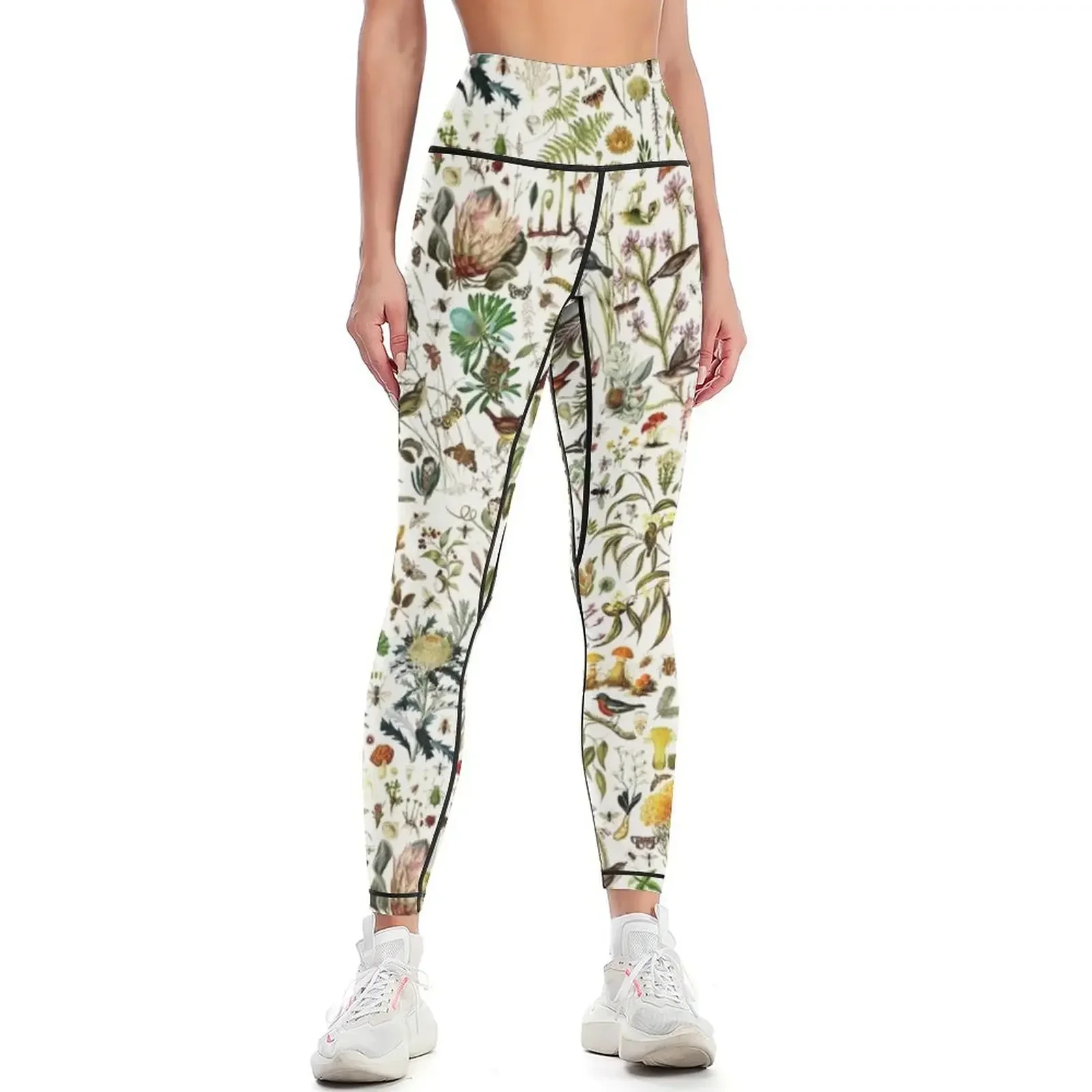 

Biology Australia. Leggings Women's high waist sporty woman push up leggins push up woman Women's sports pants Womens Leggings