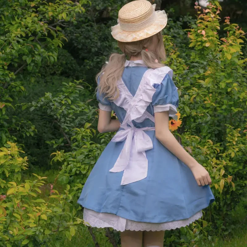 Anime Alice no País das Maravilhas Cosplay Traje para Mulheres e Meninas, Vestido Lolita, Avental, Fantasia, Carnaval, Trajes de Halloween