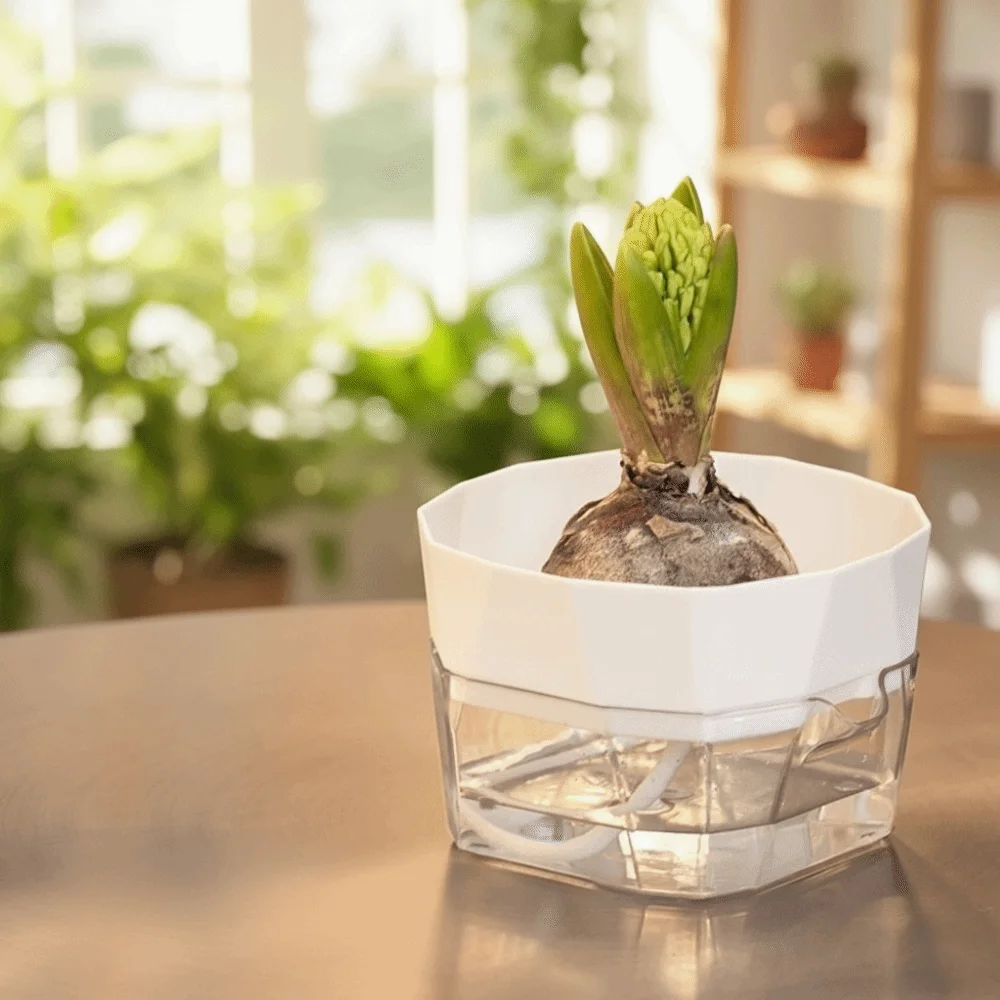 

Набор из 6 гидропонных контейнеров для видимого роста корней, экологичных, самополивающихся, пластиковых, для ленивого выращивания цветов, для гиацинтов