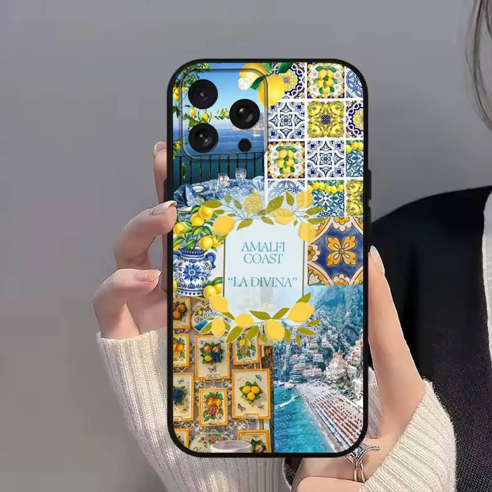 C-CoastS European Amalfi-es für iPhone 11,15,16,14,13,17,12,Pro,SE4,Plus,E,Max,Air,Mini Schwarz, stoßfeste Softcover-Handyhülle