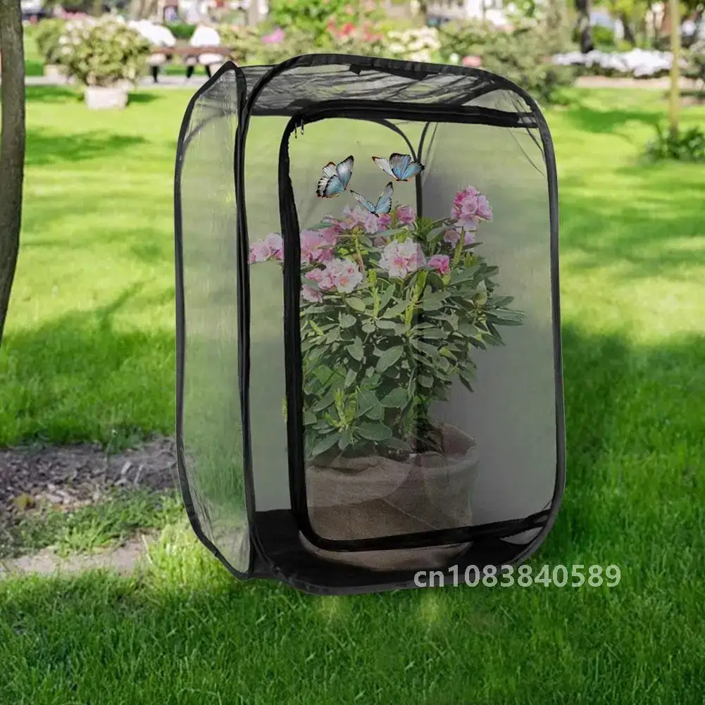 Butterfly Cage Black Mini Insect Habitat Popup Collapsible Insect Mesh Cage Plant Greenhouse Box Mantis Stick Insect Feeding Box