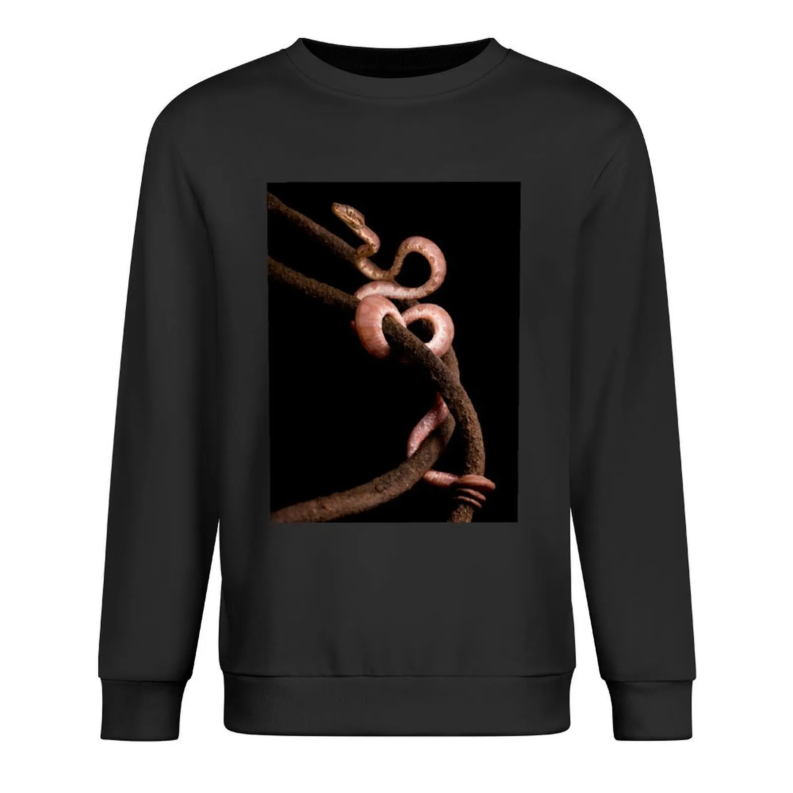 Brown Amazon Tree Boa Pullover men clothing men's clothes tracksuit men tracksuit sweatshirt male