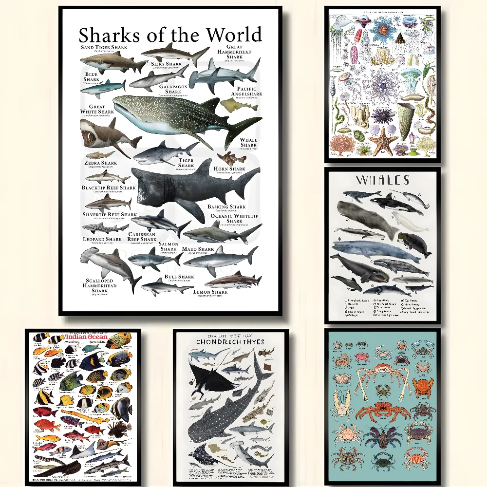 

Whale and Shark Seashells Turtles Octopus Fish Marine Life Ocean Animals Poster HD art sticky wall waterproof home living room