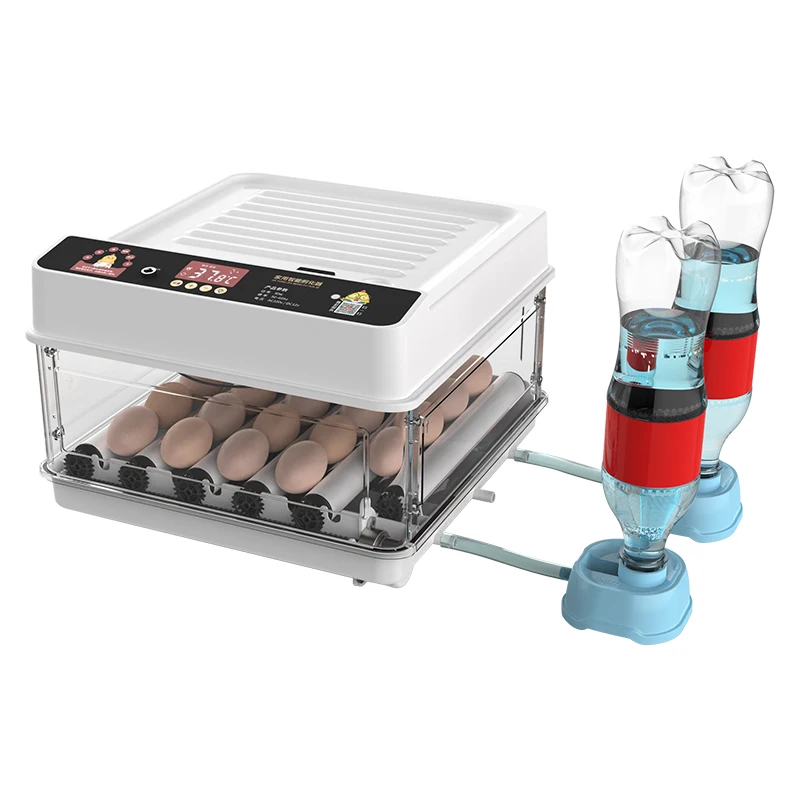 24 Capacity Automatic Water Supply Egg Incubator Egg Hatching Machine